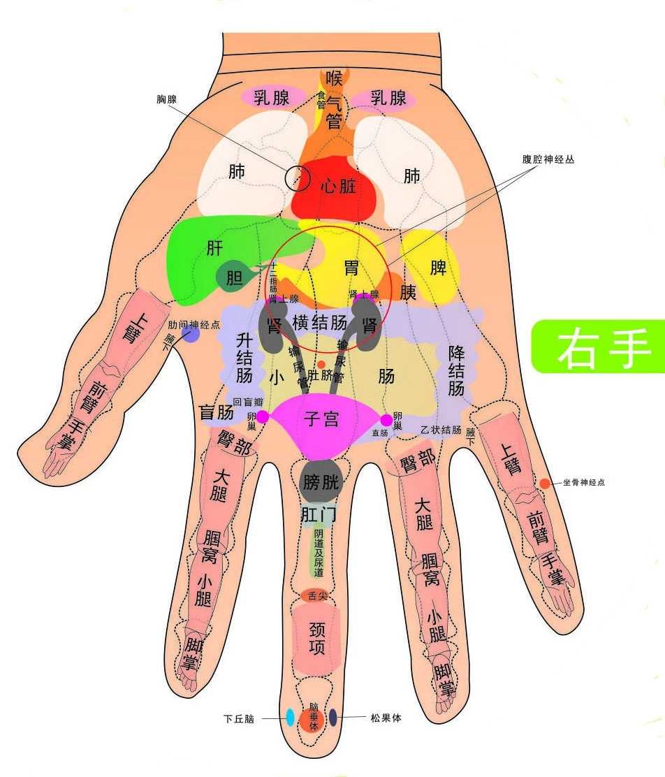 季秦安手部美容法