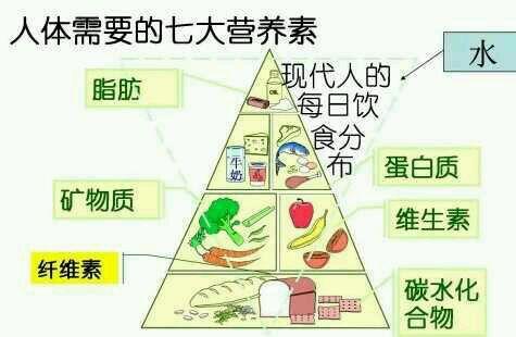 养生：三大秘诀帮你延年益寿