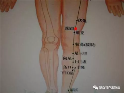 糖尿病患者日常经络保养调理方法推荐