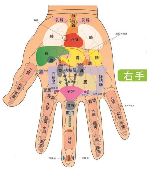 双手与健康